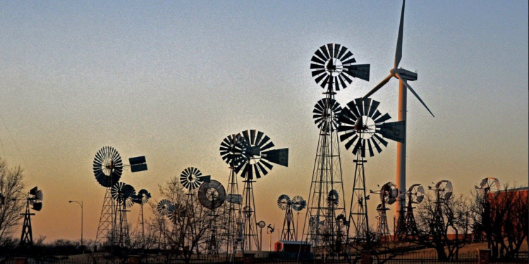 This Lubbock Museum Has the World’s Biggest Collection of Something You Never Knew You Wanted to See