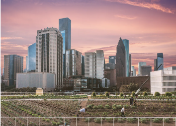 Fresh Veggies, Rooftop Views, and the Best of Houston’s Food Scene
