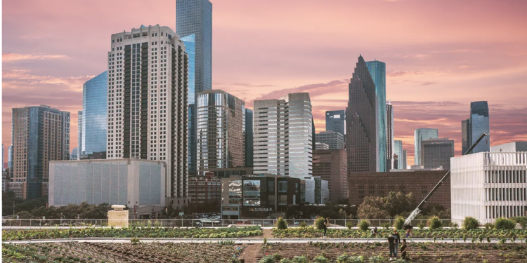 Fresh Veggies, Rooftop Views, and the Best of Houston’s Food Scene