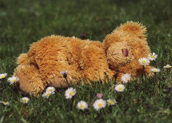 Your Kid’s Teddy Bear is About to Have the Best Night Ever