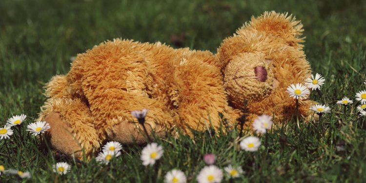 Your Kid’s Teddy Bear is About to Have the Best Night Ever