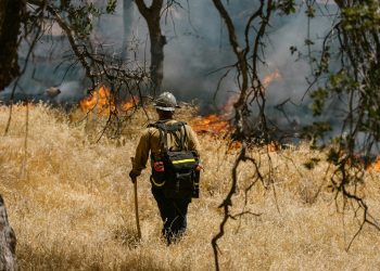 Free Wildfire Training from Your Couch: National Fire Academy Opens Doors to Everyone