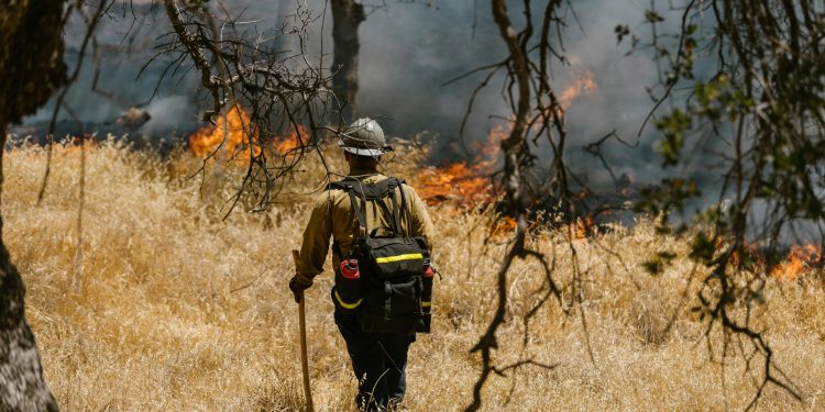 Free Wildfire Training from Your Couch: National Fire Academy Opens Doors to Everyone