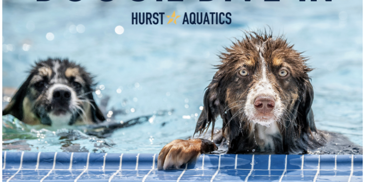 Your Dog’s Been Dreaming of This Pool Party – And It’s More Important Than You Think