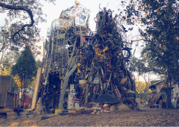 Climb Inside Austin’s Most Mind-Blowing Backyard Secret