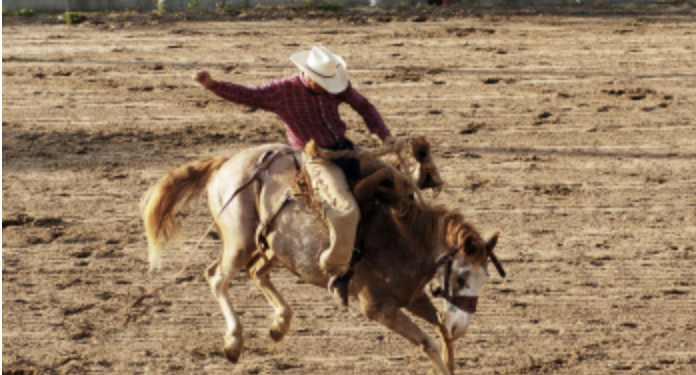 Junction’s Summer Classic Rodeo: Where Real Cowboys Still Rule the Night