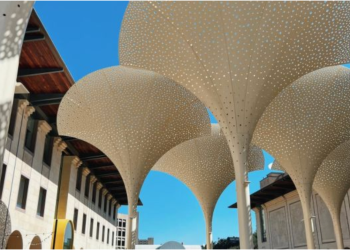 Every Tuesday is Free Art Day at Austin’s Most Underrated Museum – Here’s What You’re Missing!