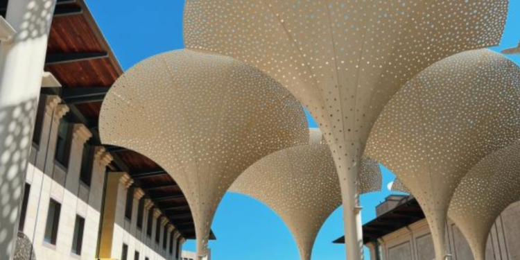 Every Tuesday is Free Art Day at Austin’s Most Underrated Museum – Here’s What You’re Missing!