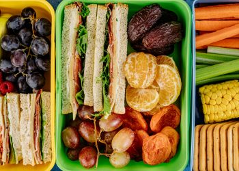 USDA Reminds Families to Pack Food Safety with Back-to-School Lunches