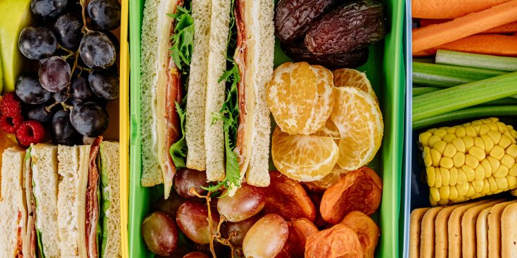 USDA Reminds Families to Pack Food Safety with Back-to-School Lunches