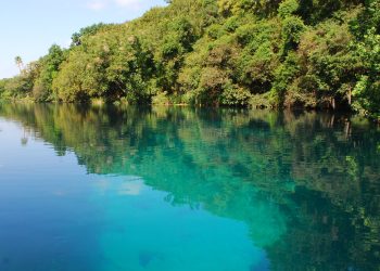 Walk from the Alamo to the Capitol: Texas Greenlights Epic 100-Mile Trail by 2036
