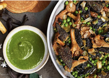 Exclusive Mushroom Tasting Experience Comes to Deep Ellum – Only 50 Spots Available