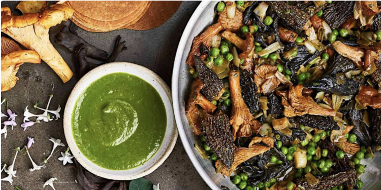 Exclusive Mushroom Tasting Experience Comes to Deep Ellum – Only 50 Spots Available