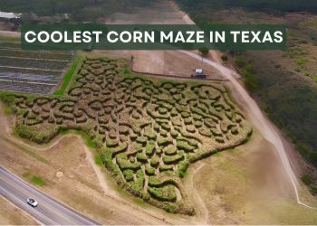 This Texas-Shaped Maze is Everything Right About Fall