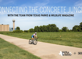 Dallas Gets Wild About Outdoor Future