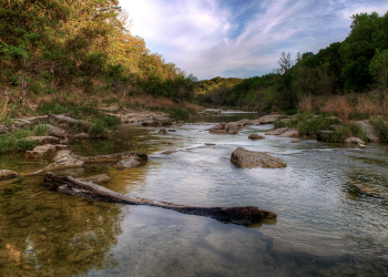 Nature Is for Everyone – And This November Event Proves It