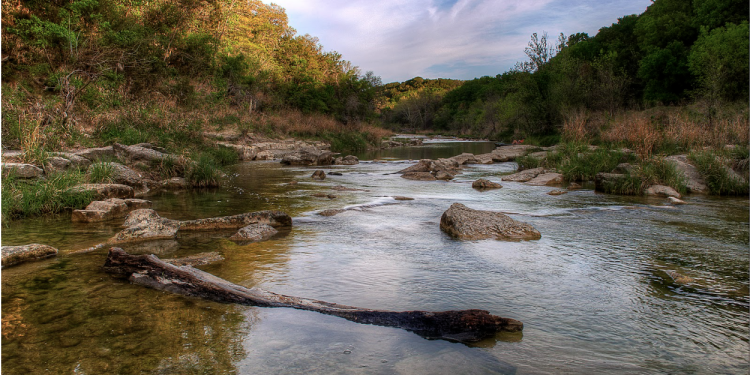 Nature Is for Everyone – And This November Event Proves It