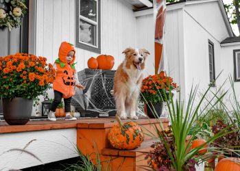 Your Pup Deserves a Spooky Season Too: Texas Dog Halloween Events You Can’t Miss