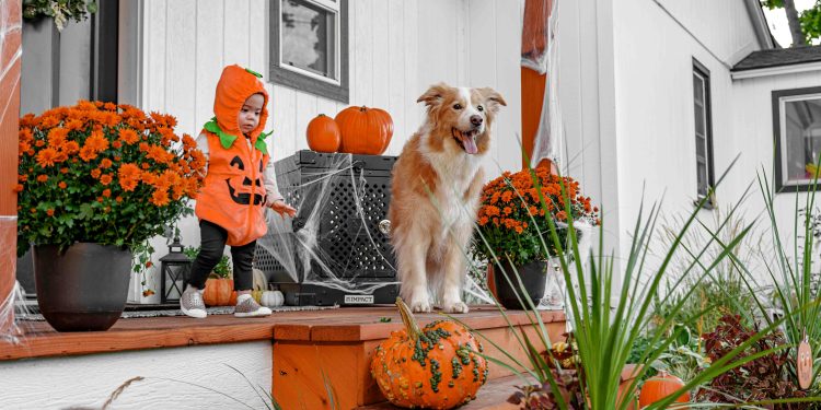 Your Pup Deserves a Spooky Season Too: Texas Dog Halloween Events You Can’t Miss