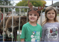 Step Into a Magical World of Live Reindeer at the Stark Museum