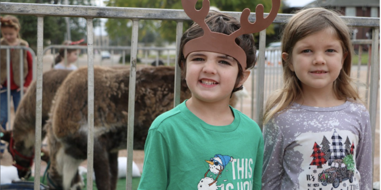 Step Into a Magical World of Live Reindeer at the Stark Museum