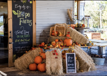 Free Cooking Classes: Learn, Eat, and Grow with Houston’s Hope Farms!
