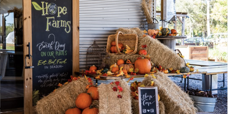 Free Cooking Classes: Learn, Eat, and Grow with Houston’s Hope Farms!