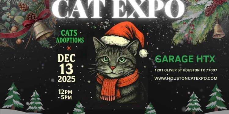 Cat Lovers, Get Ready for the Purr-fect Holiday Event! Houston Cat Expo Returns This December
