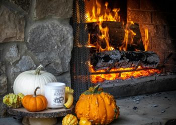 Don’t Let Your Thanksgiving Turn Into a Kitchen Disaster—Here’s How to Cook Safe