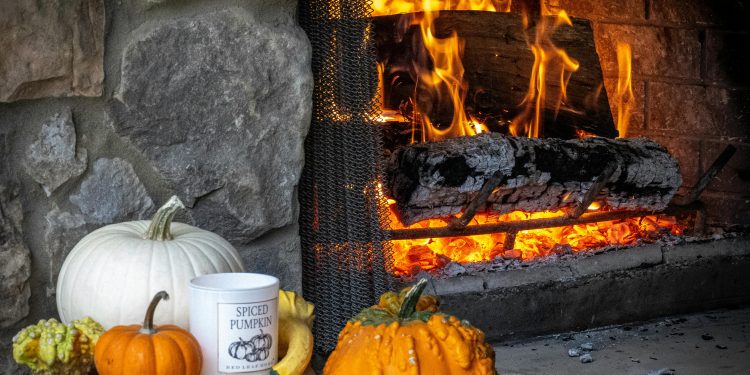 Don’t Let Your Thanksgiving Turn Into a Kitchen Disaster—Here’s How to Cook Safe