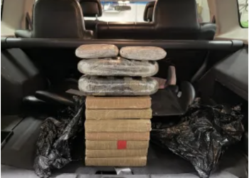 Border Patrol Finds 22 Pounds of Fentanyl, Cocaine, and Heroin Hidden in Child Booster Seats