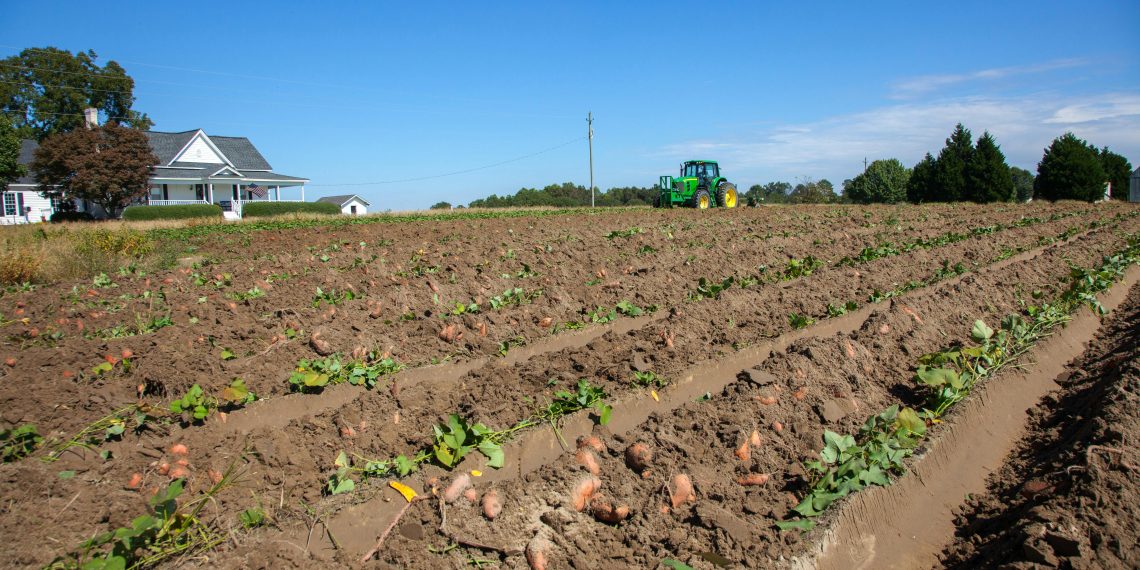 Trump Administration Launches Two Major Programs to Help American Farmers and Fight Childhood Obesity