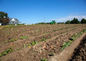 Trump Administration Launches Two Major Programs to Help American Farmers and Fight Childhood Obesity