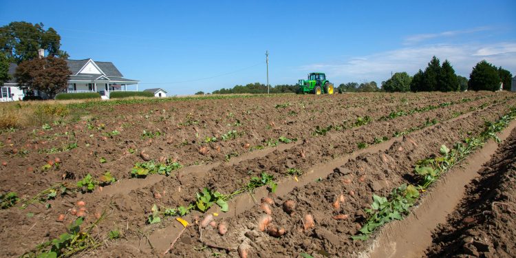 Trump Administration Launches Two Major Programs to Help American Farmers and Fight Childhood Obesity