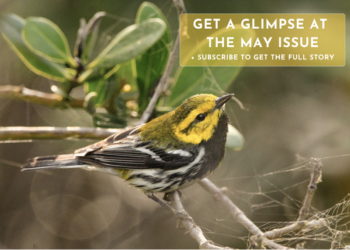 Texas Parks and Wildlife Magazine’s May Birding Issue Is Here — and It’s Worth the Read