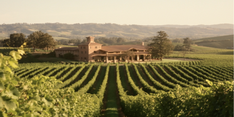 East Texas Has a Wine Country — and Its Best Festival