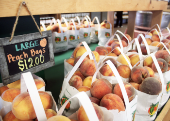 The Best Summer Day Trip Near Dallas Has Been a Texas Secret for 47 Years — Ham Orchards Opens May 9