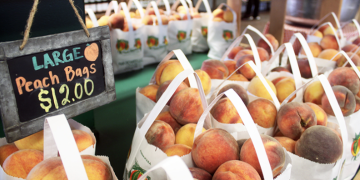 The Best Summer Day Trip Near Dallas Has Been a Texas Secret for 47 Years — Ham Orchards Opens May 9