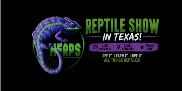 Texas Is Getting Four Exotic Reptile Shows This Summer — Here Is Everything You Need to Know