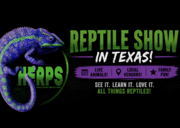 Texas Is Getting Four Exotic Reptile Shows This Summer — Here Is Everything You Need to Know