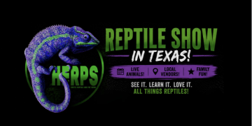 Texas Is Getting Four Exotic Reptile Shows This Summer — Here Is Everything You Need to Know
