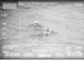 Air and Marine Operations Interdict Vessel Near Puerto Rico, 40 Apprehended