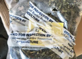 CBP Seizes 139 Pounds of Khat at Dulles Airport Bound for California