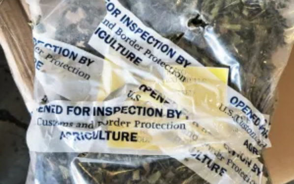 CBP Seizes 139 Pounds of Khat at Dulles Airport Bound for California