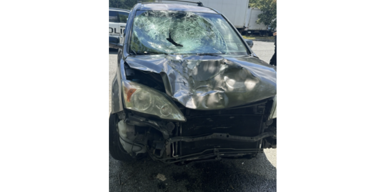 ICE Arrests Honduran National Wanted in Fatal Maryland Hit-and-Run