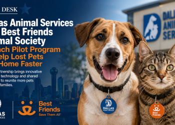Lost Your Dog? Dallas Is Handing Out 2,000 Free QR-Coded ID Tags to Get Pets Home Faster