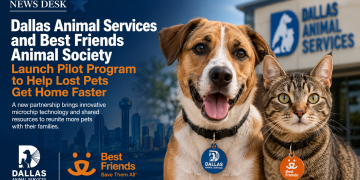Lost Your Dog? Dallas Is Handing Out 2,000 Free QR-Coded ID Tags to Get Pets Home Faster