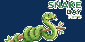 Texas Has Over 100 Kinds of Snakes. Only 15 Are Dangerous. Here’s What Every Texan Should Know for World Snake Day