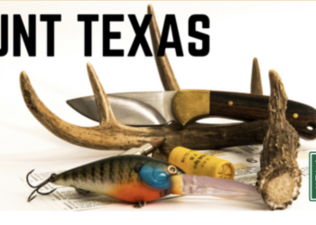 Texas Hunters: Drawn Hunt Applications Now Open for 2026-27 Season, New Screwworm Case Confirmed