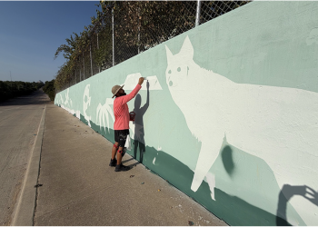 Arlington Adding 16 New Public Art Pieces Across the City in 2026